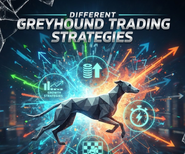 Different Greyhound Betting Strategies
