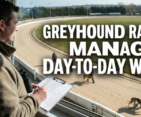 Greyhound Racing Manager Day To Day Work
