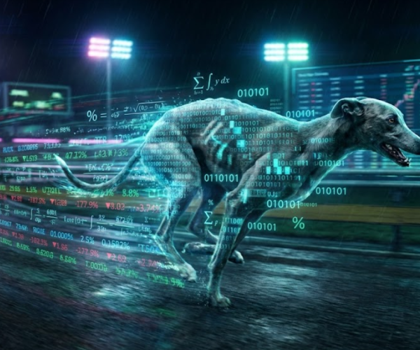 Greyhounds Quants Data Investigation For Betting